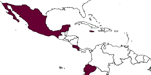 map of Anteon jamaicanum     Olmi, 1984